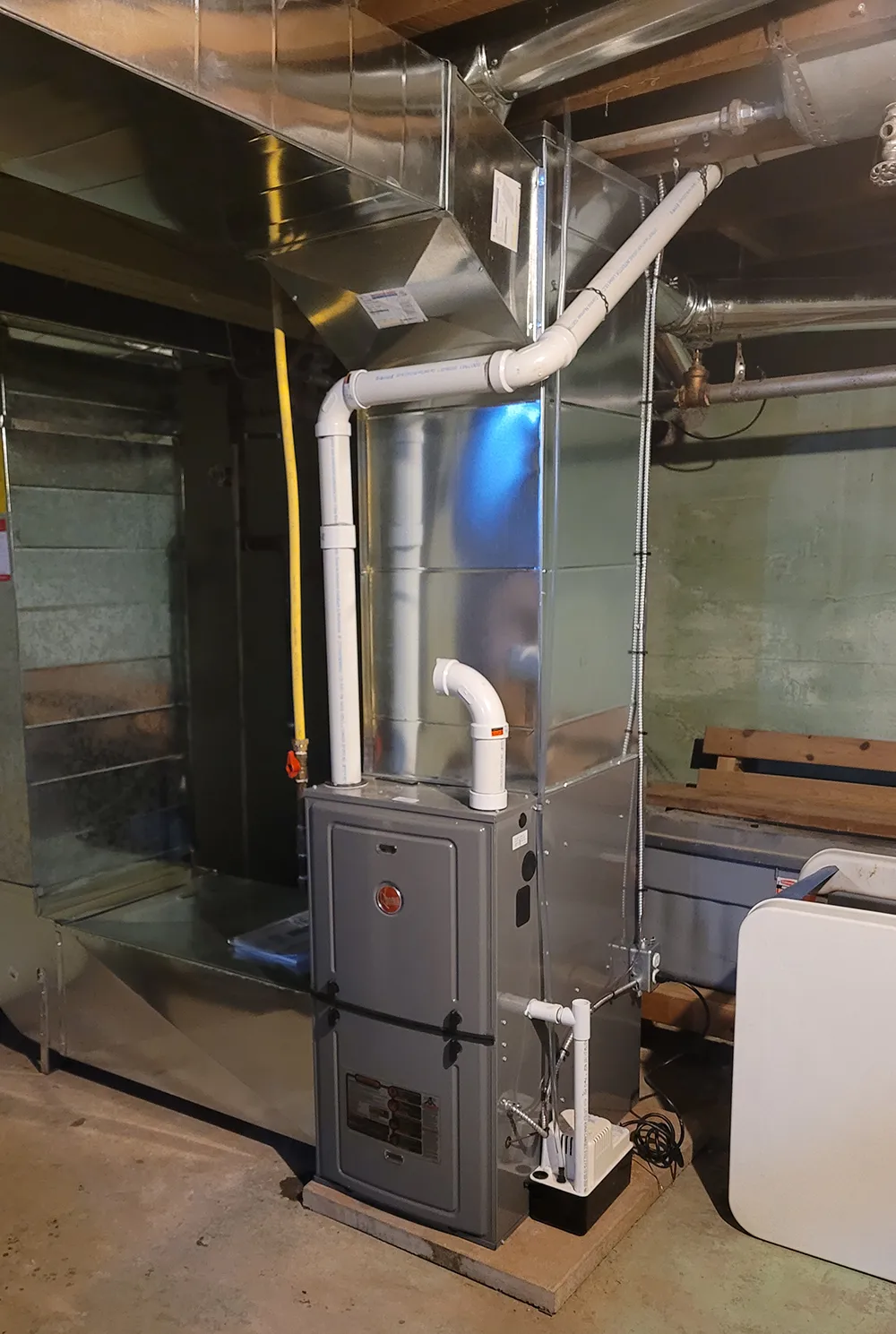 new pic2